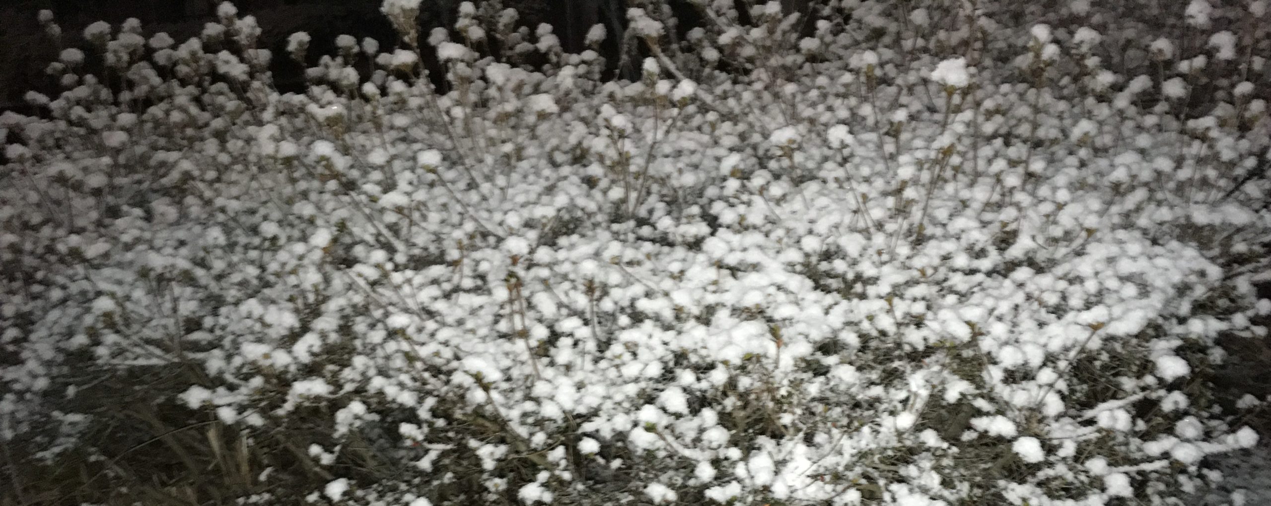 雪景色と家ごもり
