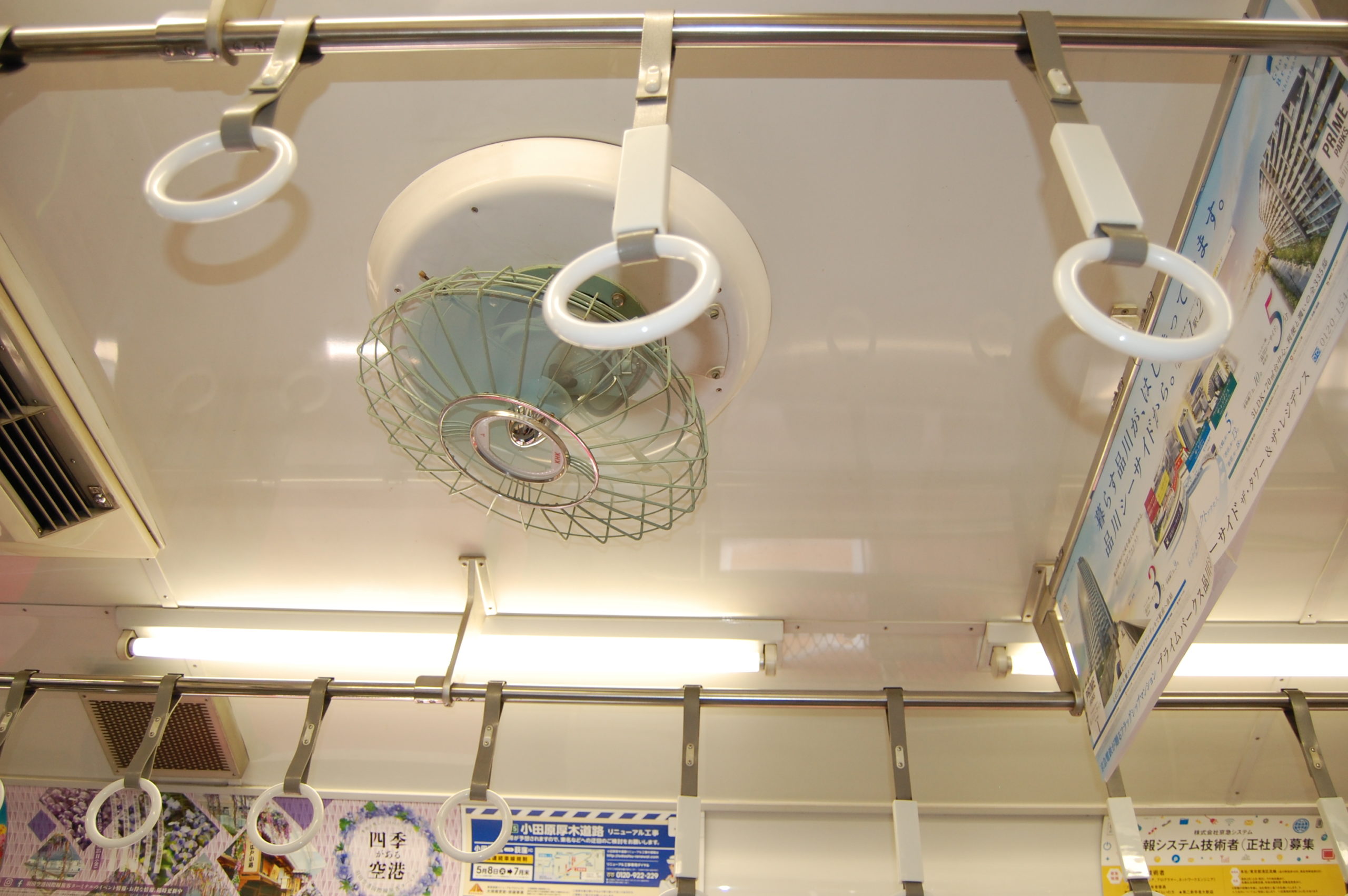 手洗い・うがいとシャワー